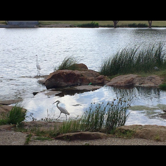 Meet your Posher, Jensi - Picture 1 of 1